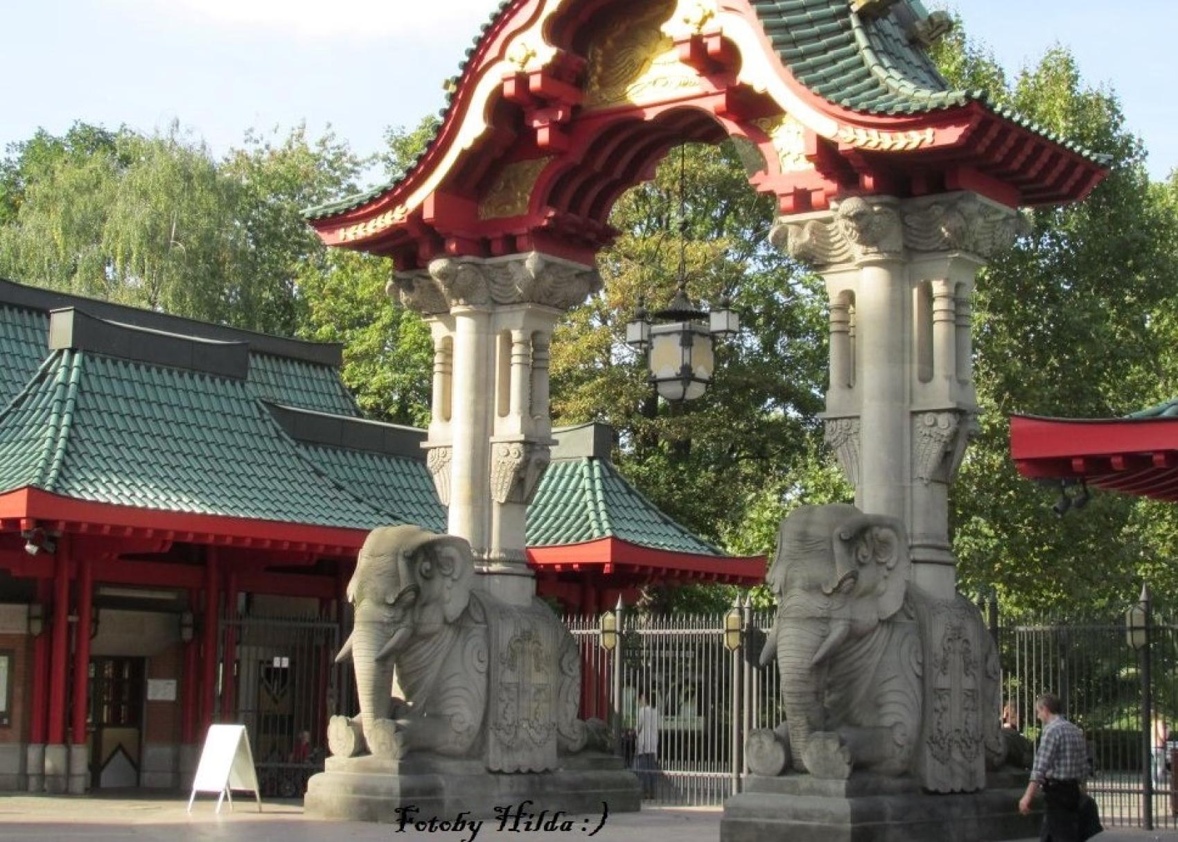 Der Zoologischer Garten Berlin Eine Brise Lebensfreude