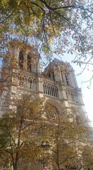 Notredame1