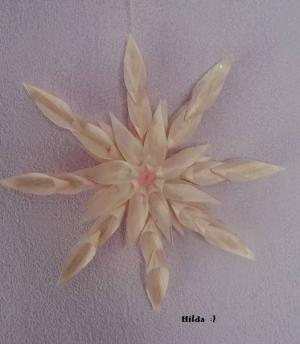 Sternbild 16