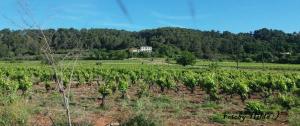 Vidauban 2