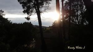 Vidauban 32