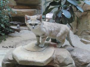 Berliner Zoo 2