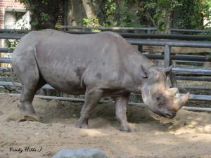 Berliner Zoo 6