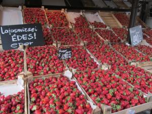 Markt 8
