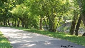 Rundgang 13