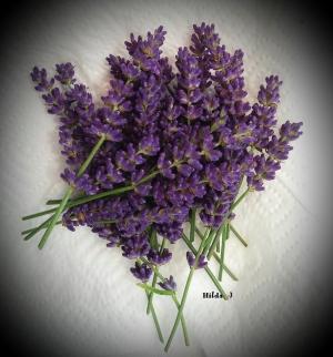 Lavendel Konfiture 1