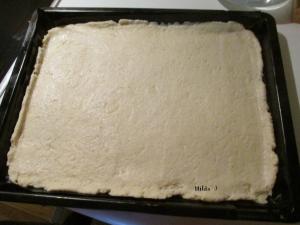 Pflaumenkuchen 3