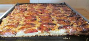 Pflaumenkuchen 8