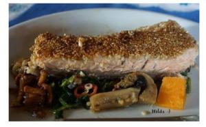Sesam Lachs 2