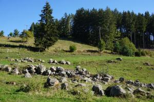 Hirtenpfad15