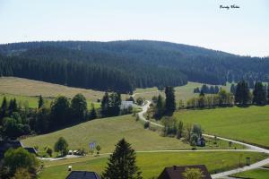 Hirtenpfad17