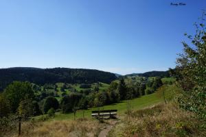 Wandern3