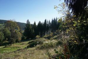 Wandern5