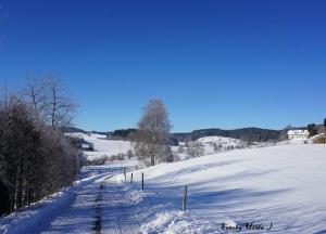 Winterspaziergang1