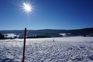 Winterspaziergang17