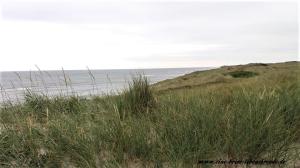 Sylt2