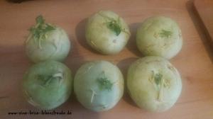 Gef Llte Kohlrabi5