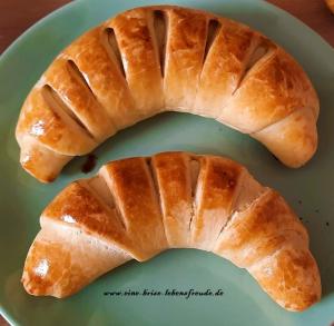 Dinkel Frischk Se H Rnchen2