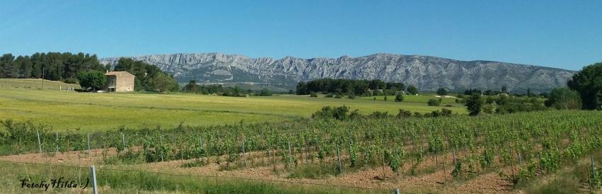 provence_4.jpg