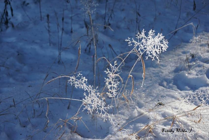 winterspaziergang14.jpg