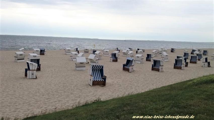 sylt1.jpg