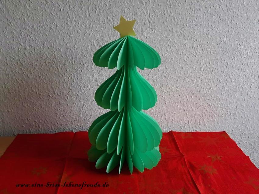 papierbaum7.jpg
