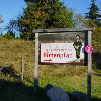 hirtenpfad4.jpg