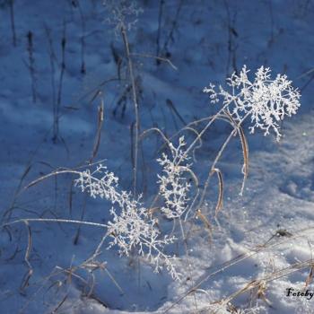 winterspaziergang14.jpg