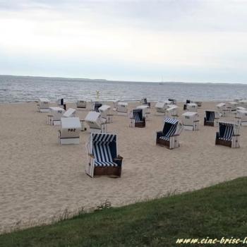 sylt1.jpg