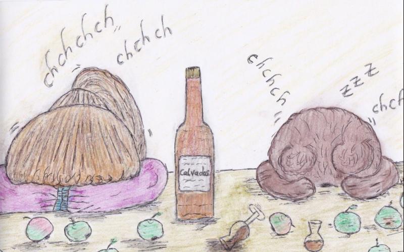 apfelgeschichte.jpeg