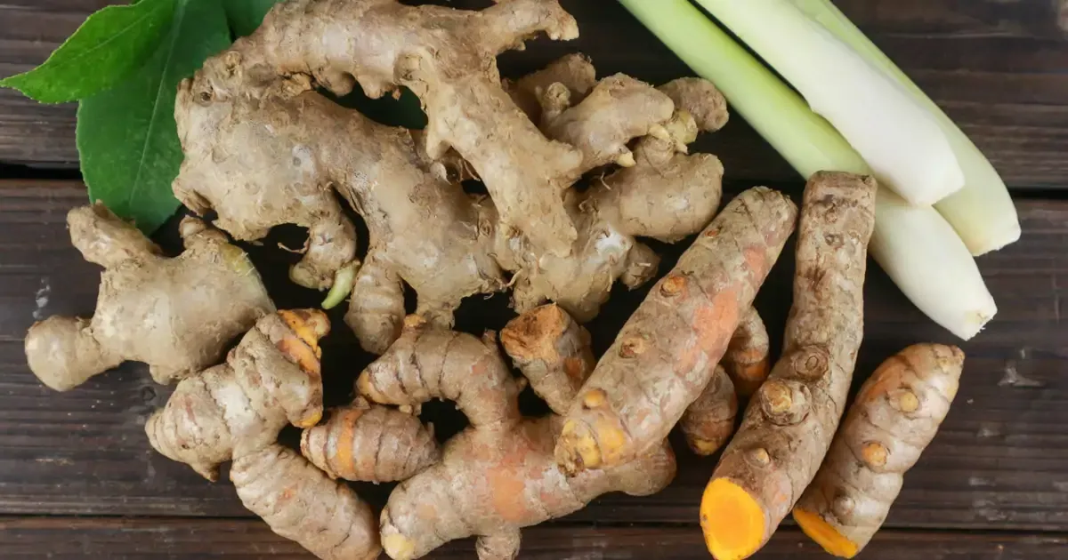 Gewürzgeheimnisse: Kulinarisch und wissenschaftlich erklärt